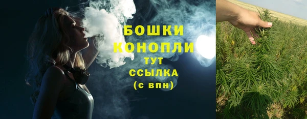 альфа пвп Краснослободск