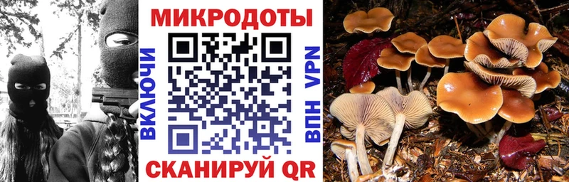 Купить  Каменск-Шахтинский  Псилоцибиновые грибы GOLDEN TEACHER 